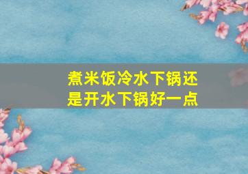 煮米饭冷水下锅还是开水下锅好一点