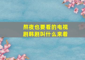 熬夜也要看的电视剧韩剧叫什么来着