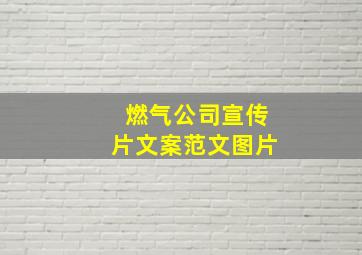 燃气公司宣传片文案范文图片