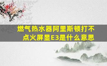 燃气热水器阿里斯顿打不点火屏显E3是什么意思