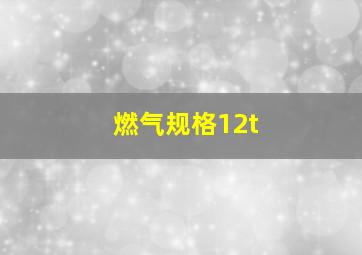 燃气规格12t