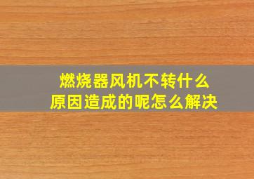 燃烧器风机不转什么原因造成的呢怎么解决