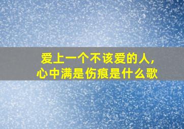 爱上一个不该爱的人,心中满是伤痕是什么歌