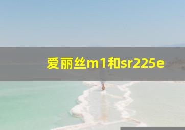 爱丽丝m1和sr225e