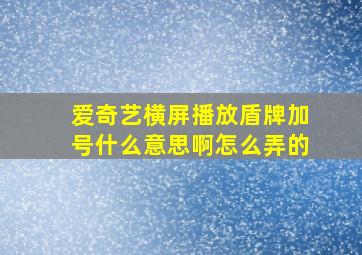 爱奇艺横屏播放盾牌加号什么意思啊怎么弄的