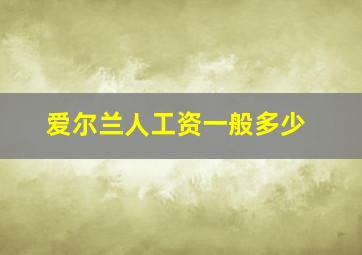 爱尔兰人工资一般多少