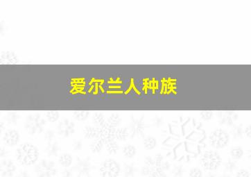 爱尔兰人种族