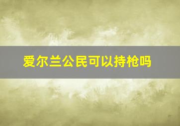 爱尔兰公民可以持枪吗