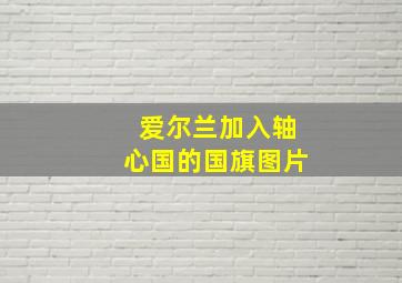 爱尔兰加入轴心国的国旗图片