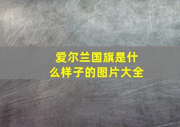 爱尔兰国旗是什么样子的图片大全