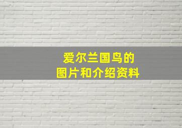 爱尔兰国鸟的图片和介绍资料