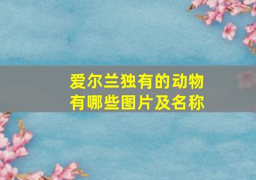 爱尔兰独有的动物有哪些图片及名称