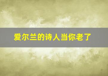 爱尔兰的诗人当你老了