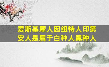 爱斯基摩人因纽特人印第安人是属于白种人黑种人