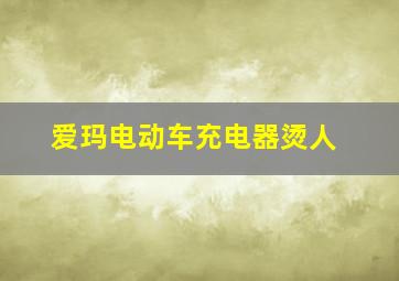 爱玛电动车充电器烫人