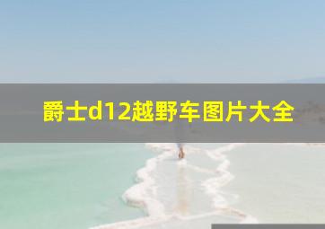 爵士d12越野车图片大全