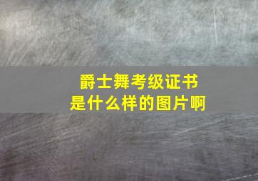 爵士舞考级证书是什么样的图片啊