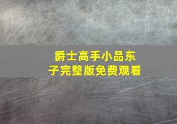 爵士高手小品东子完整版免费观看