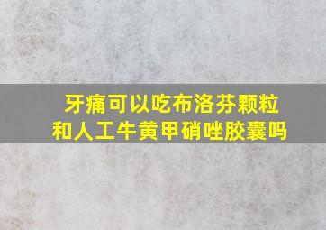 牙痛可以吃布洛芬颗粒和人工牛黄甲硝唑胶囊吗