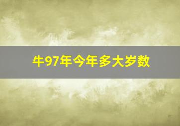 牛97年今年多大岁数