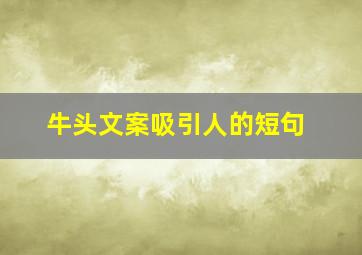 牛头文案吸引人的短句