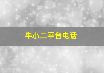 牛小二平台电话