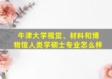 牛津大学视觉、材料和博物馆人类学硕士专业怎么样