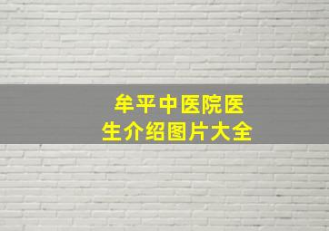 牟平中医院医生介绍图片大全