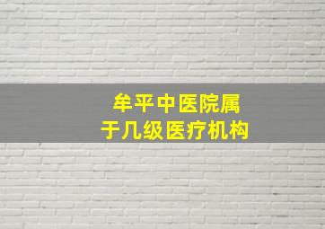 牟平中医院属于几级医疗机构