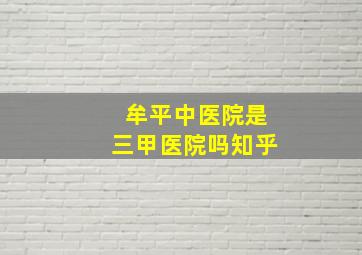 牟平中医院是三甲医院吗知乎