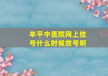 牟平中医院网上挂号什么时候放号啊