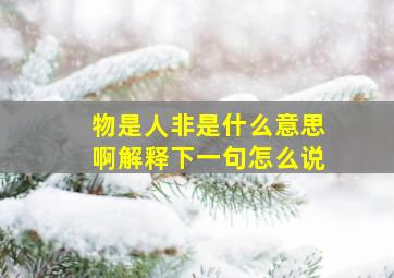 物是人非是什么意思啊解释下一句怎么说