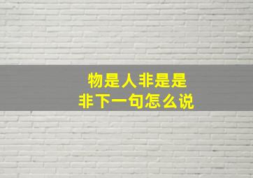 物是人非是是非下一句怎么说