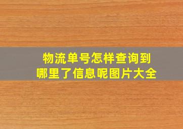 物流单号怎样查询到哪里了信息呢图片大全