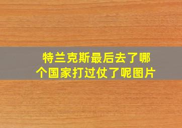 特兰克斯最后去了哪个国家打过仗了呢图片