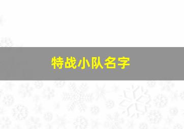 特战小队名字