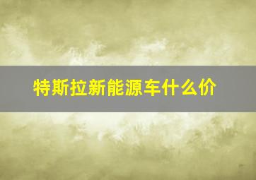 特斯拉新能源车什么价