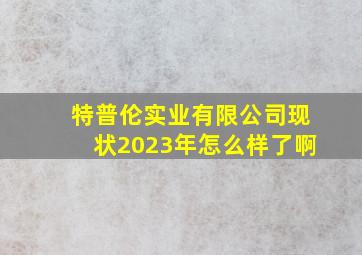 特普伦实业有限公司现状2023年怎么样了啊