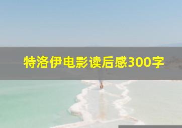 特洛伊电影读后感300字