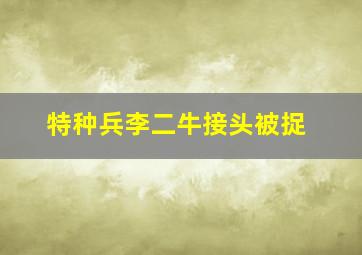 特种兵李二牛接头被捉