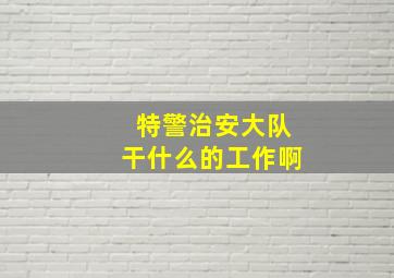 特警治安大队干什么的工作啊