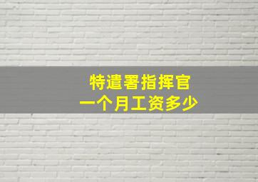 特遣署指挥官一个月工资多少