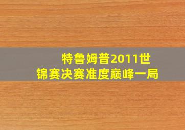 特鲁姆普2011世锦赛决赛准度巅峰一局