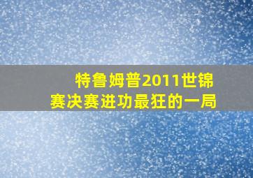 特鲁姆普2011世锦赛决赛进功最狂的一局