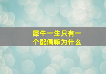 犀牛一生只有一个配偶嘛为什么