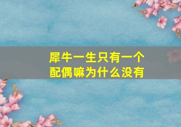 犀牛一生只有一个配偶嘛为什么没有