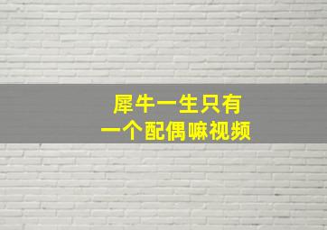 犀牛一生只有一个配偶嘛视频