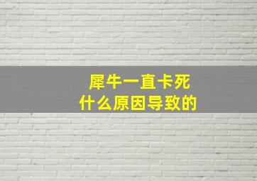 犀牛一直卡死什么原因导致的