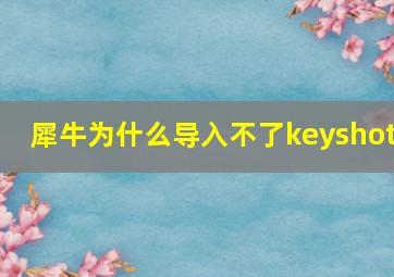 犀牛为什么导入不了keyshot