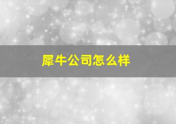 犀牛公司怎么样